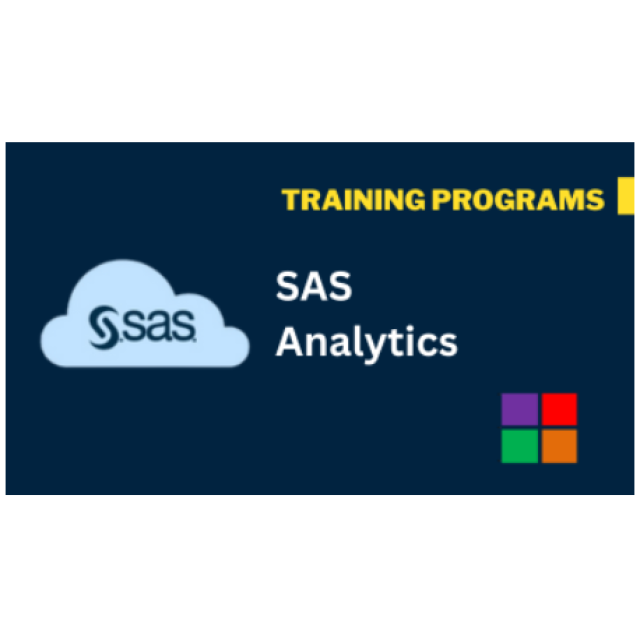  SAS Analytics